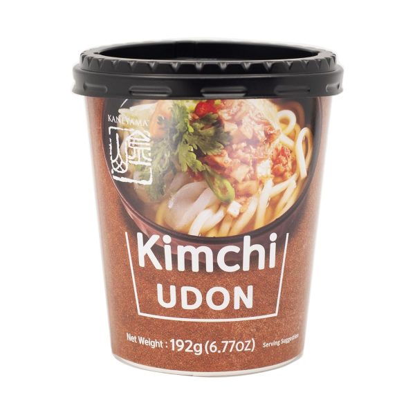 Kaneyama Udon Noodle Soup Cup Quick Meal Korean Broth-0