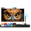 TV Antenna FEQIN 75 Ohm Black Indoor Model A-002-1