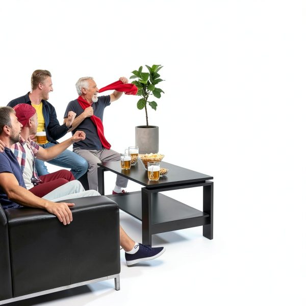 TV Antenna Fronguld Compact Indoor Model 2052-3